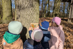 PXL_20251114_095815972