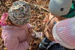 PXL_20251114_095850267