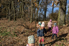 PXL_20251114_095931214