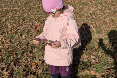 PXL_20251114_100424504