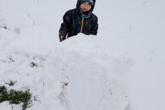 PXL_20251127_100438606