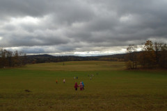 DSC04138