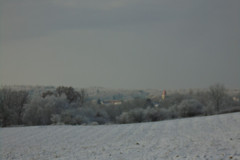 DSC07268