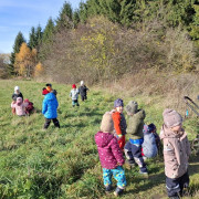 Listopad u Mravenečků