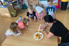 IMG-20251112-WA0012
