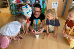 IMG-20251112-WA0027