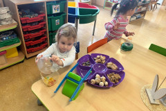 IMG-20251121-WA0005
