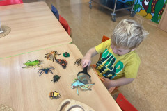 IMG-20251121-WA0006