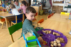 IMG-20251121-WA0014