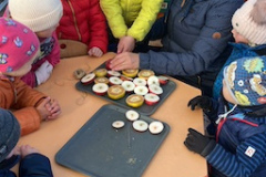 IMG-20251105-WA0000