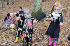 IMG_20251104_104345_1