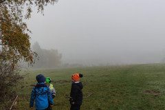 IMG_20241107_110252