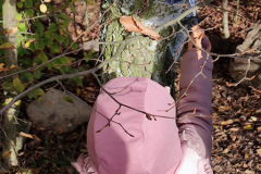 IMG_20251020_101114