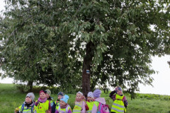 IMG_20250922_082217