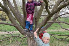 IMG_20250415_103949