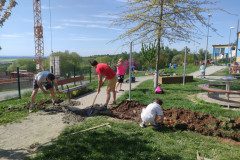 IMG_20250429_153329