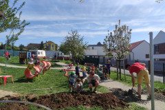 IMG_20250429_153351