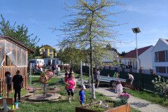 IMG_20250429_165248