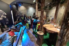 IMG_20250430_094909