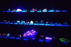 IMG_20250430_102509