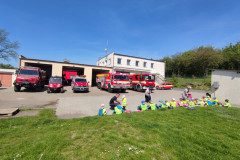 IMG_20250430_113327