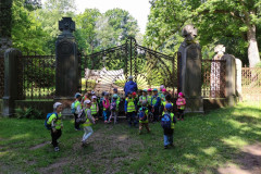 IMG_20250527_094801