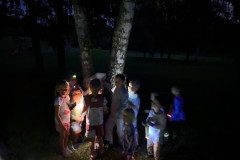 A3C30ED7-7EE1-4C12-AFFD-1AAF6B3D3512