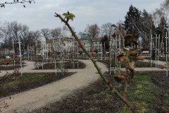 IMG_20250311_091006