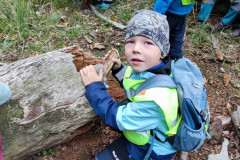 IMG_20250922_100127