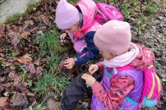 IMG_20250324_100022