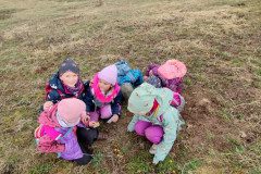 IMG_20250324_101329