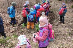 IMG_20250325_105127
