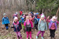 IMG_20250325_105146