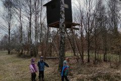 IMG_20250328_110213