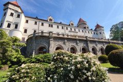 IMG_20250507_100854