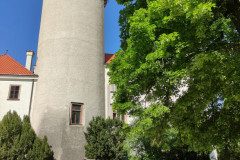 IMG_20250507_101804