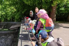 IMG_20250507_101823