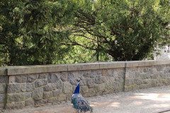 IMG_20250507_101857