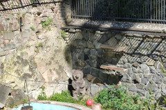 IMG_20250507_102020