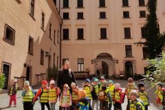 IMG_20250507_103754