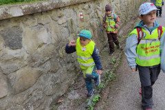 IMG_20250507_104723