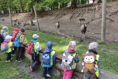 IMG_20250507_105228