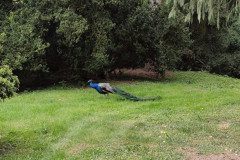 IMG_20250507_111929