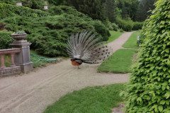 IMG_20250507_112407