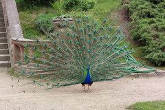 IMG_20250507_112434