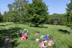 IMG_20250512_103006