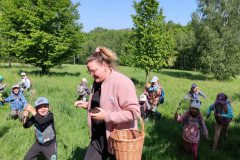 IMG_20250512_103017