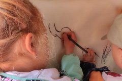 IMG_20250513_081258