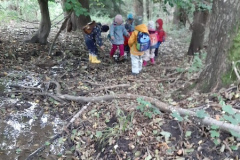 IMG-20251006-WA0004