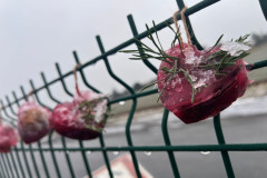 IMG-20260116-WA0005